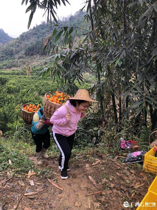 �������ǲ���(�й���½) - �ٷ���վ