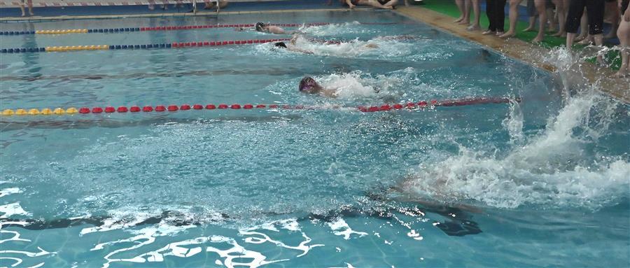 �������ǲ���(�й���½) - �ٷ���վ