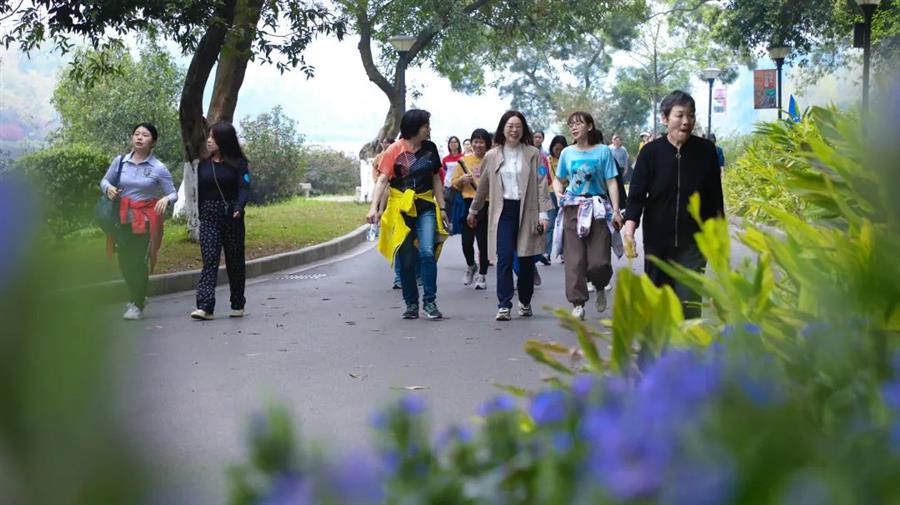 �������ǲ���(�й���½) - �ٷ���վ