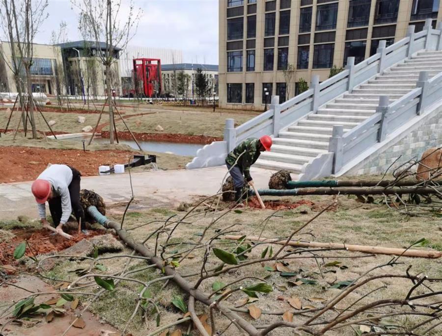 �������ǲ���(�й���½) - �ٷ���վ