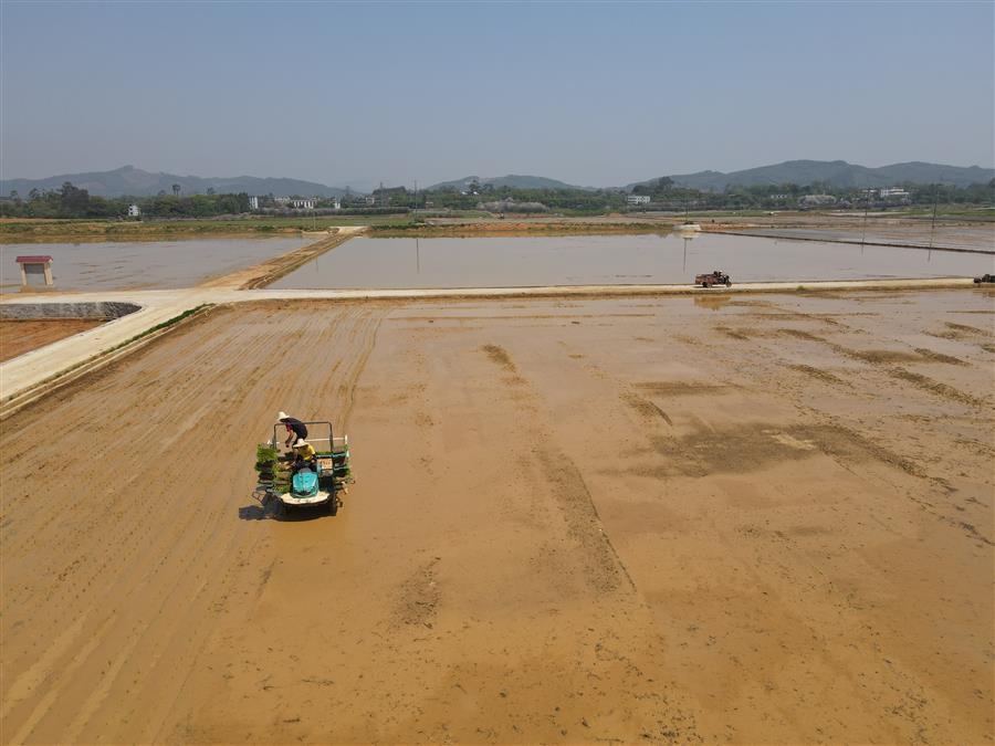 �������ǲ���(�й���½) - �ٷ���վ