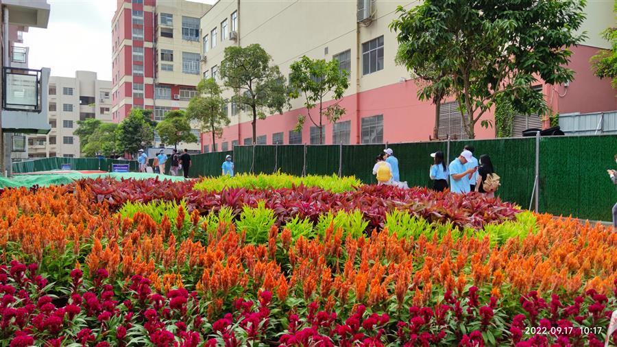 �������ǲ���(�й���½) - �ٷ���վ