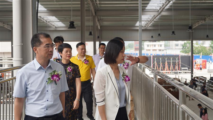 �������ǲ���(�й���½) - �ٷ���վ