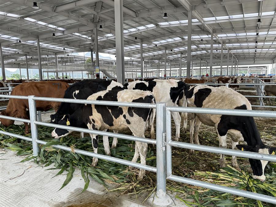 �������ǲ���(�й���½) - �ٷ���վ