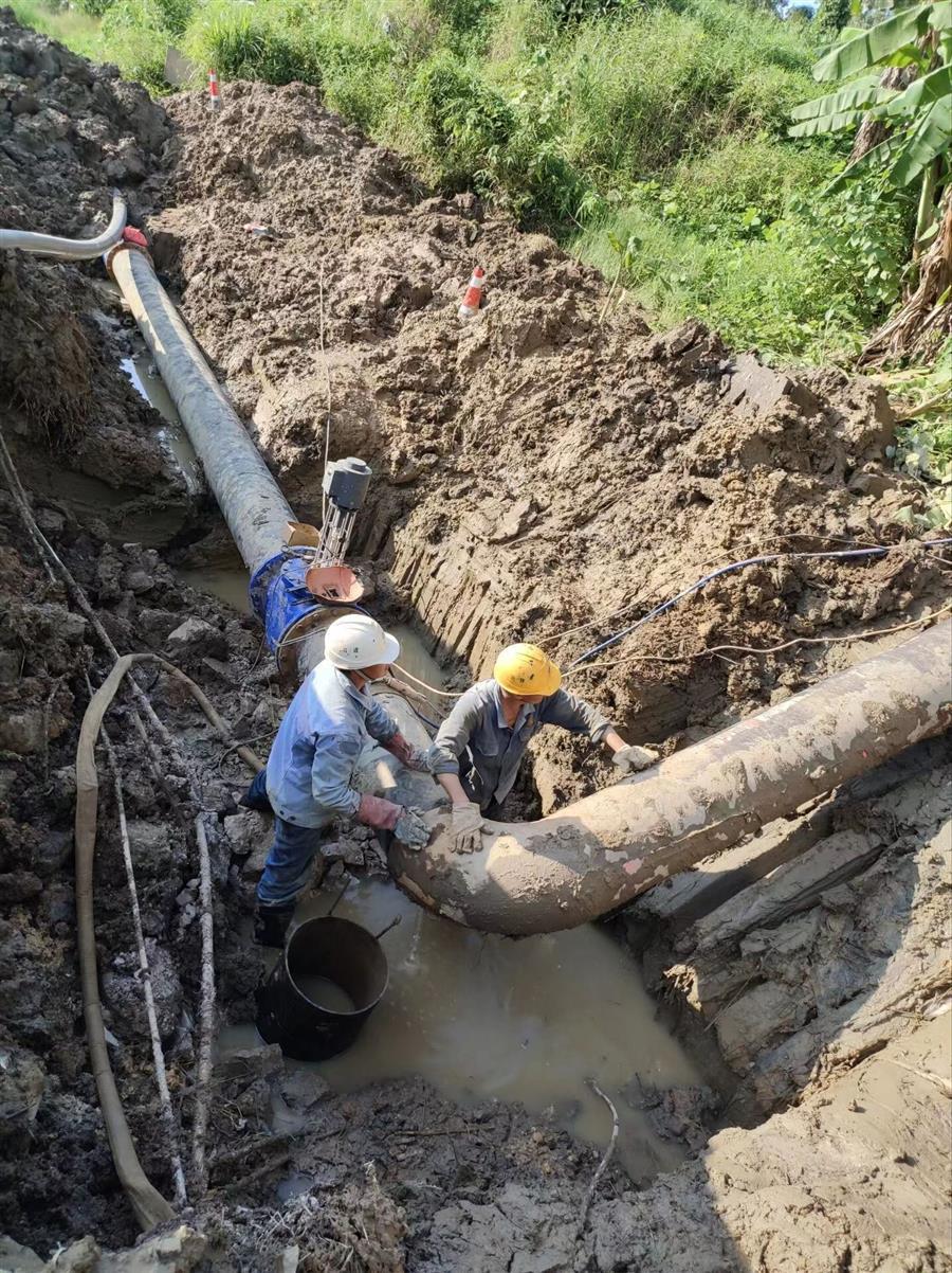 �������ǲ���(�й���½) - �ٷ���վ