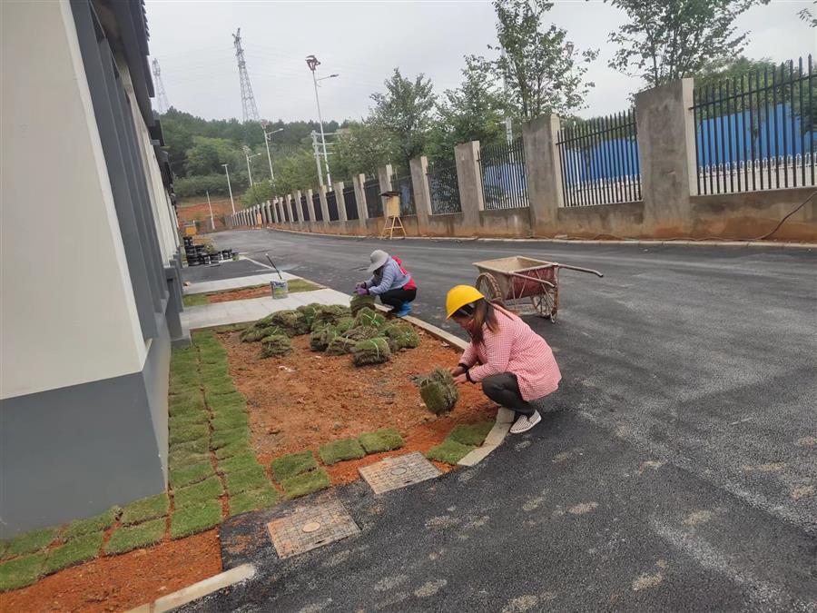 �������ǲ���(�й���½) - �ٷ���վ