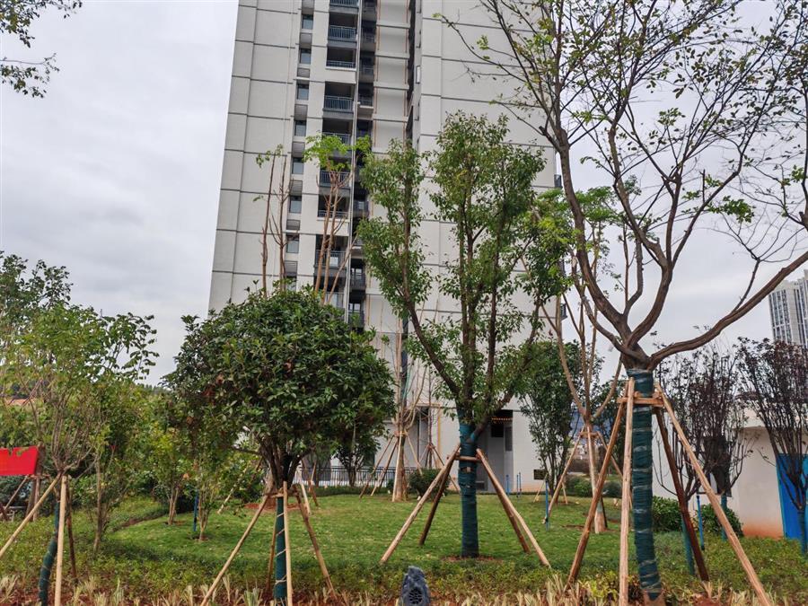 �������ǲ���(�й���½) - �ٷ���վ