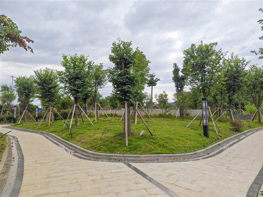 �������ǲ���(�й���½) - �ٷ���վ