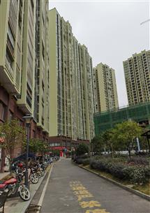 ���ֹ�˾�н����ݶ��ȱ��ǲƸ����ڹ���ͨ����������