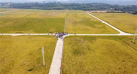 ȫ��500�༼����Ա����Ħ�����Ŀ