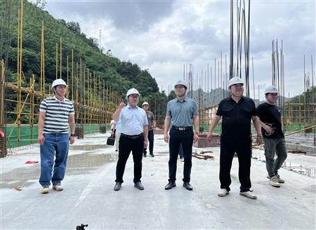 Τ��ѩ�������Ŀ��չ2025��������������������ۺϴ���